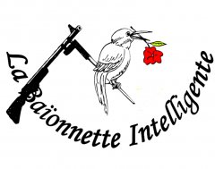 01-0-logo-baionette-intelligente-verkl.jpg