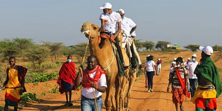kamel-karawane-artikel.jpg
